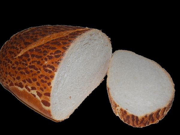 Tijger wit